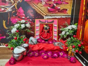 बालाजी जन्मोत्सव की धूम,एक दिवसीय हनुमान महायज्ञ संपन्न