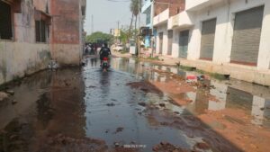 तालाब का गंदा पानी सड़कों पर फैलने से रास्ता हुआ बंद
