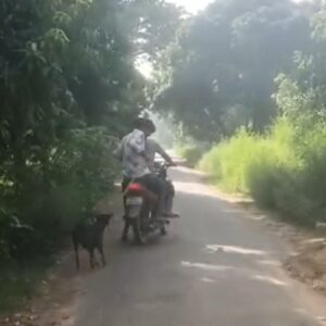 इंसानियत शर्मसार: बाइक से बांधकर मादा कुत्ते को बेरहमी से घसीटा, वीडियो वायरल