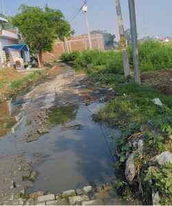 नगर पालिका की मेहरबानी, मुहीउद्दीनपुर बना ‘गंदे पानी का स्विमिंग पूल’!