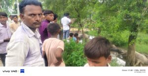 सहसवान में बड़ा हादसा: 11 हजार वोल्ट लाइन का तार टूटा, 4 भैंसों की दर्दनाक मौत, परिवार में मचा कोहराम